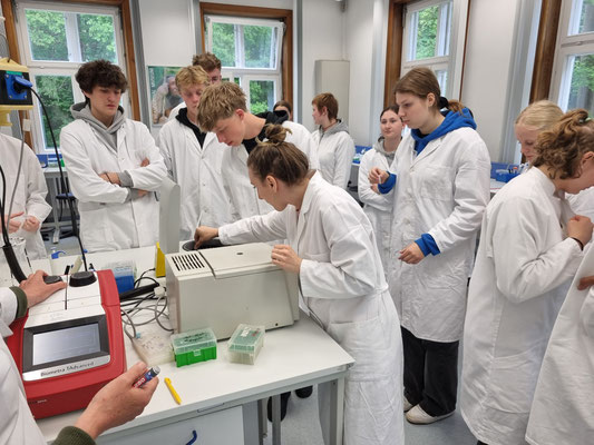 Exkursionsbericht des Biologie-Leistungskurses nach Lübeck (6.–7. Mai 2025)